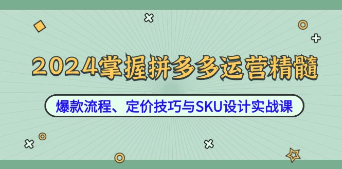 （12703期）2024掌握拼多多运营精髓：爆款流程、定价技巧与SKU设计实战课-创博项目库