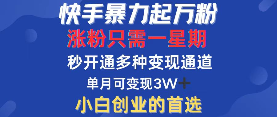 （12651期）快手暴力起万粉，涨粉只需一星期，多种变现模式，直接秒开万合，小白创…-创博项目库