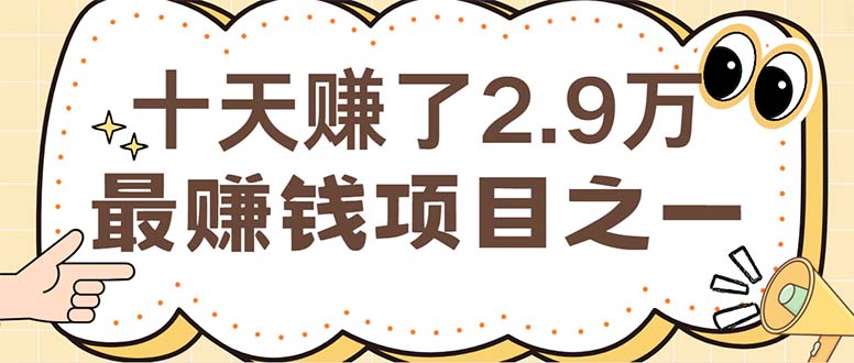 （12491期）闲鱼小红书赚钱项目之一，轻松月入6万+项目-创博项目库