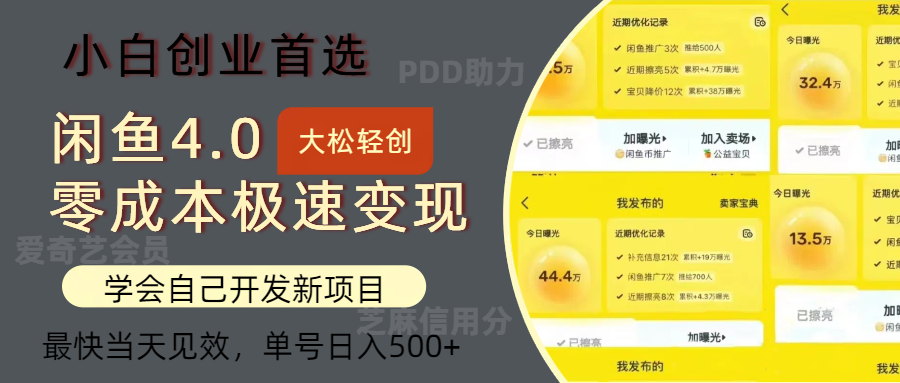 （12434期）闲鱼0成本极速变现项目，多种变现方式 单号日入500+最新玩法-创博项目库