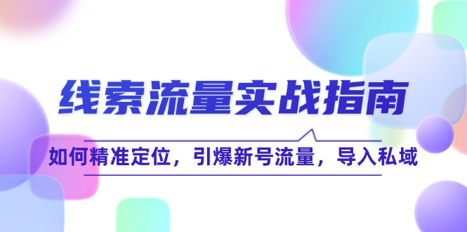 （12382期）线 索 流 量-实战指南：如何精准定位，引爆新号流量，导入私域-创博项目库