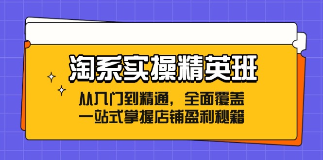 （12276期）淘系实操精英班：从入门到精通，全面覆盖，一站式掌握店铺盈利秘籍-创博项目库