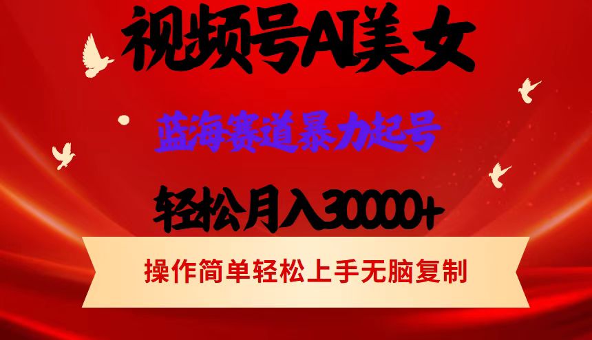 （12178期）视频号AI美女跳舞，轻松月入30000+，蓝海赛道，流量池巨大，起号猛，当…-创博项目库