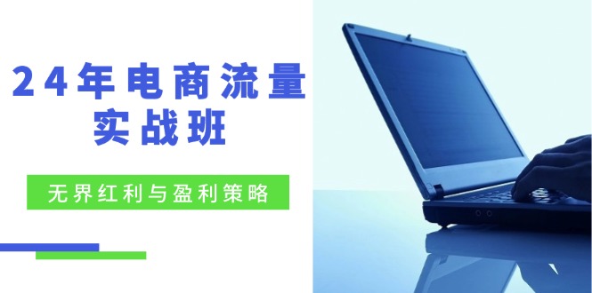 （12168期）24年电商流量实战班：无界 红利与盈利策略，终极提升/关键词优化/精准…-创博项目库