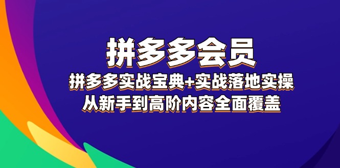 （12056期）拼多多 会员，拼多多实战宝典+实战落地实操，从新手到高阶内容全面覆盖-创博项目库