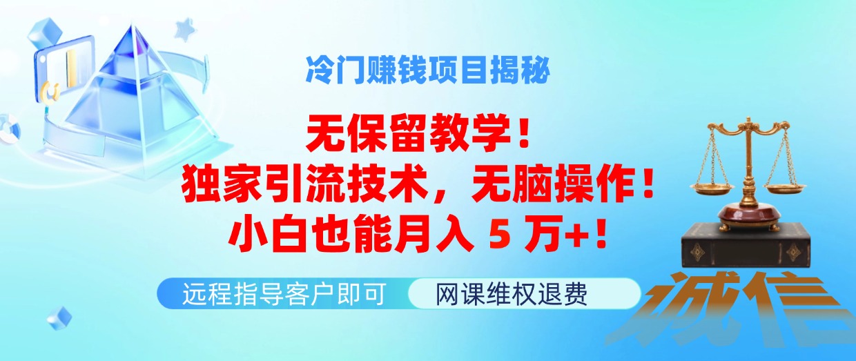 （11864期）冷门赚钱项目无保留教学！独家引流技术，无脑操作！小白也能月入5万+！-创博项目库