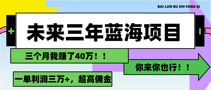 （11716期）未来三年，蓝海赛道，月入3万+-创博项目库