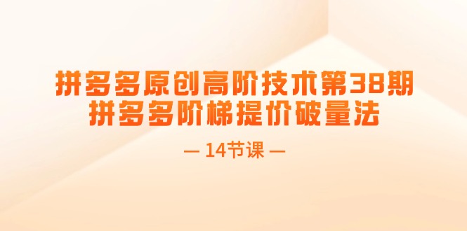 （11704期）拼多多原创高阶技术第38期，拼多多阶梯提价破量法（14节课）-创博项目库