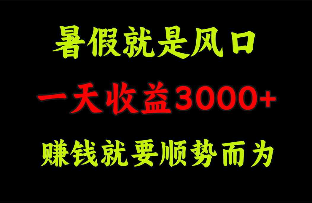 （11670期）一天收益3000+ 赚钱就是顺势而为，暑假就是风口-创博项目库