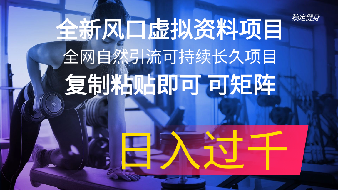 （11587期）全新风口虚拟资料项目 全网自然引流可持续长久项目 复制粘贴即可可矩阵…-创博项目库