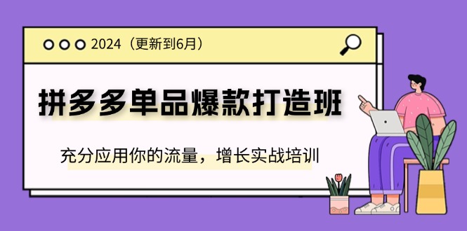 （11556期）2024拼多多-单品爆款打造班(更新6月)，充分应用你的流量，增长实战培训-创博项目库