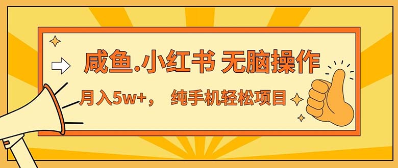 （11524期）2024最赚钱的项目，咸鱼，小红书无脑操作，每单利润500+，轻松月入5万+…-创博项目库