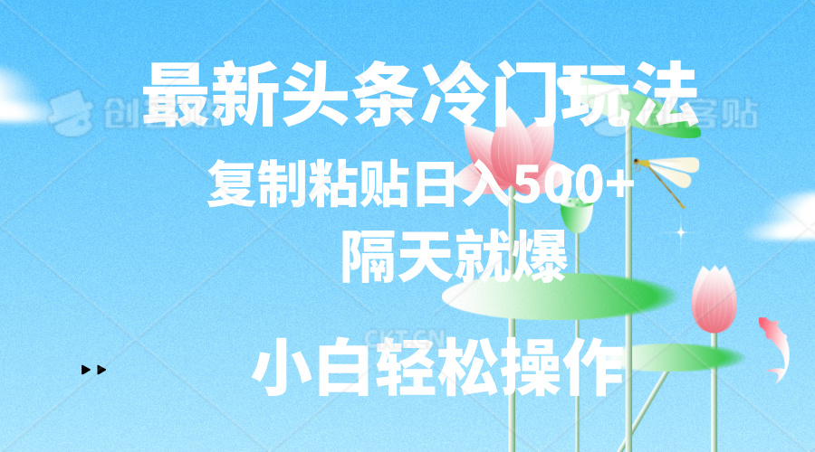 （11414期）最新头条冷门玩法，隔天就爆，复制粘贴日入500+-创博项目库