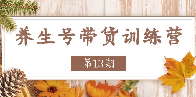 （11275期）养生号-带货训练营【第13期】收益更稳定的玩法，让你带货收益爆炸-创博项目库