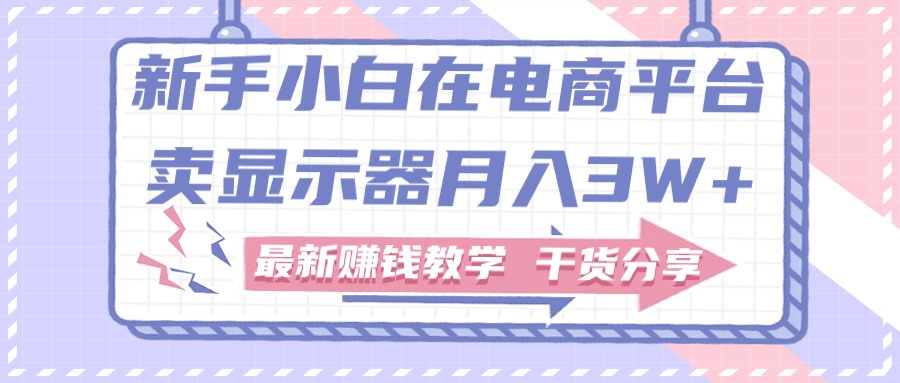 （11053期）新手小白如何做到在电商平台卖显示器月入3W+，最新赚钱教学干货分享-创博项目库