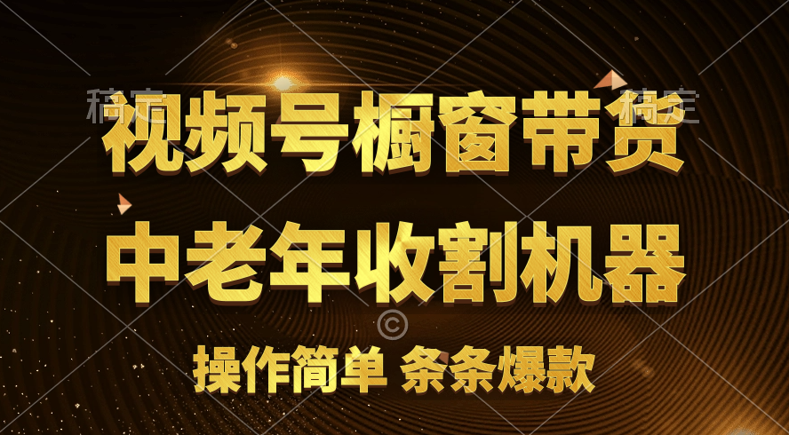 （11009期）[你的孩子成功取得高位]视频号最火爆赛道，橱窗带货，流量分成计划，条…-创博项目库