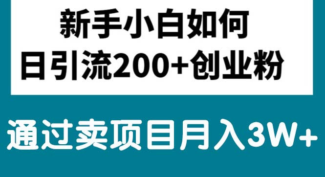 （10843期）新手小白日引流200+创业粉,通过卖项目月入3W+-创博项目库