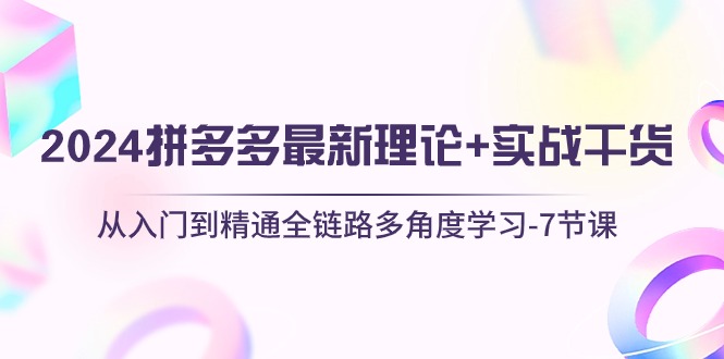 （10816期）2024拼多多 最新理论+实战干货，从入门到精通全链路多角度学习-7节课-创博项目库