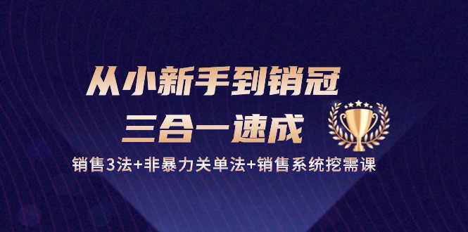 （10799期）从小新手到销冠 三合一速成：销售3法+非暴力关单法+销售系统挖需课 (27节)-创博项目库