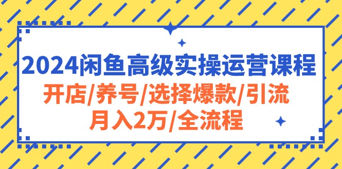 图片[1]-（10711期）2024闲鱼高级实操运营课程：开店/养号/选择爆款/引流/月入2万/全流程-创博项目库