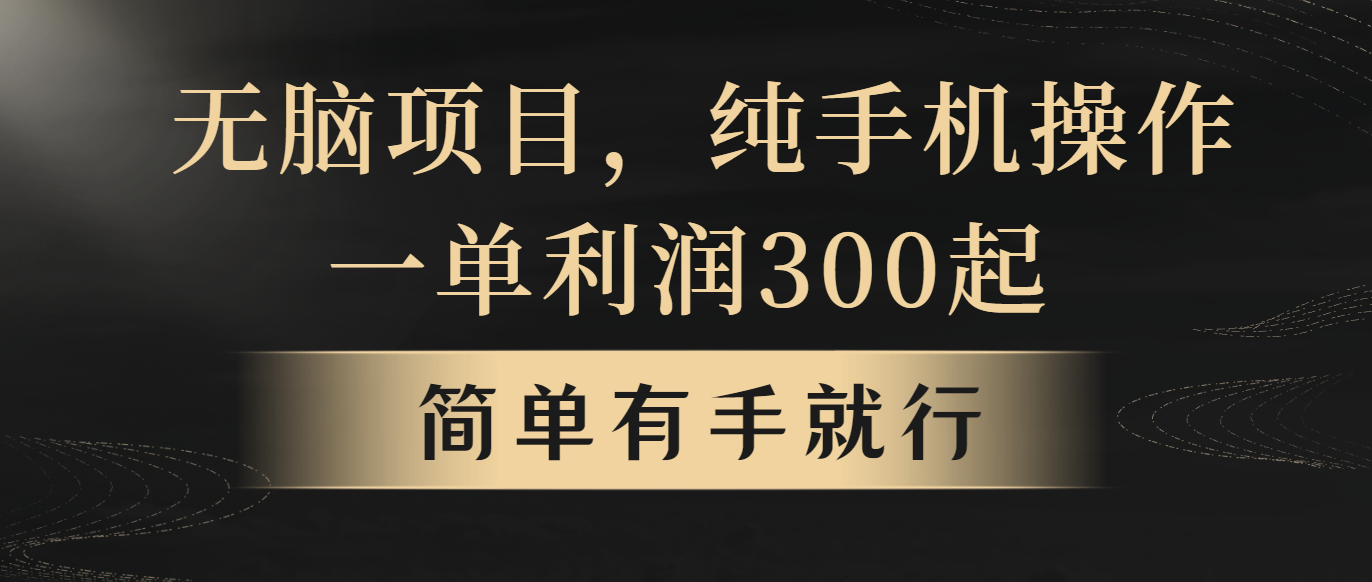 （10699期）无脑项目，一单几百块，轻松月入5w+，看完就能直接操作-创博项目库