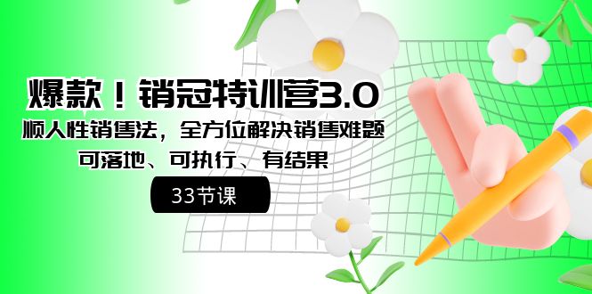 （8573期）爆款！销冠特训营3.0之顺人性销售法，全方位解决销售难题、可落地、可执…-创博项目库