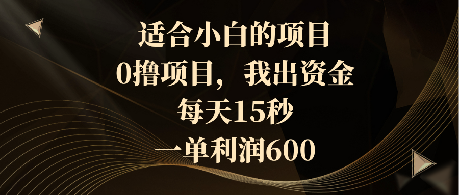 （8571期）适合小白的项目，0撸项目，我出资金，每天15秒，一单利润600-创博项目库