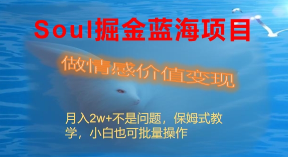 （8531期）Soul掘金蓝海项目细分赛道，做情感价值变现，月入2w+不是问题-创博项目库