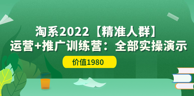 图片[1]-（3516期）淘系2022【精准人群】运营+推广训练营：全部实操演示-创博项目库