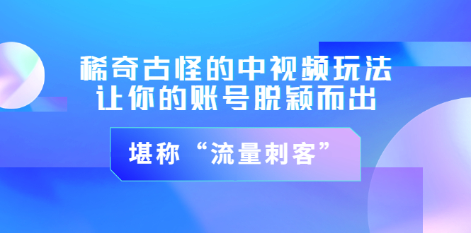 （3159期）稀奇古怪的中视频玩法，让你的账号脱颖而出，堪称“流量刺客”（图文+视频)-创博项目库