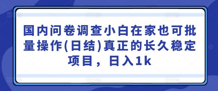 国内问卷调查小白在家也可批量操作(日结)真正的长久稳定项目，日入1k【揭秘】-创博项目库