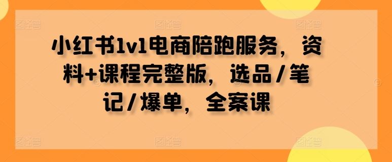 小红书1v1电商陪跑服务，资料+课程完整版，选品/笔记/爆单，全案课-创博项目库