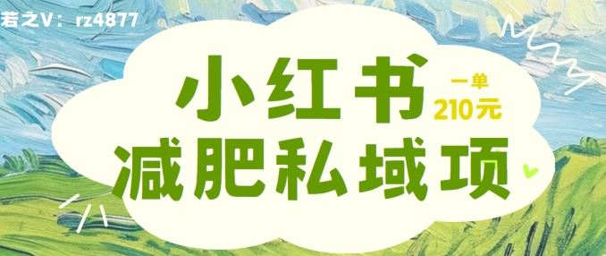 小红书减肥粉，私域变现项目，一单就达210元，小白也能轻松上手【揭秘】-创博项目库