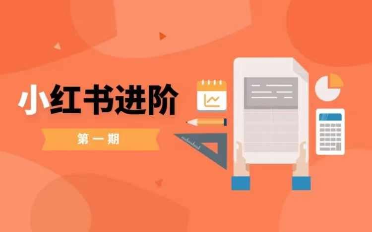 小红书进阶篇，零基础小白实战课，普通人变现的课程-创博项目库