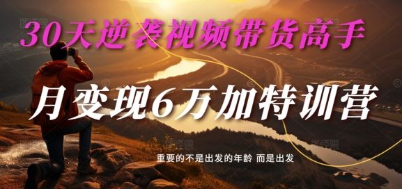 30天逆袭视频带货高手，单月变现6万加特训营-麦子甜-创博项目库