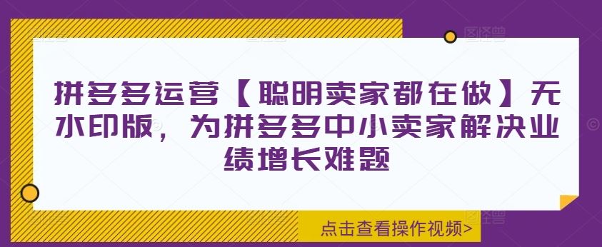 拼多多运营【聪明卖家都在做】无水印版，为拼多多中小卖家解决业绩增长难题-创博项目库