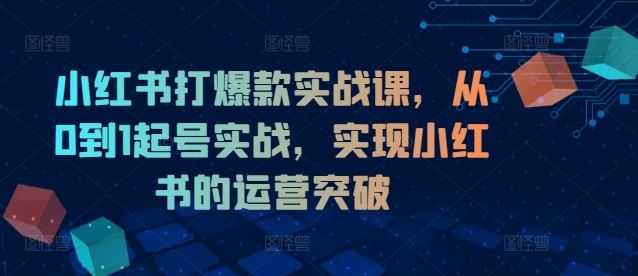 小红书打爆款实战课，从0到1起号实战，实现小红书的运营突破-创博项目库