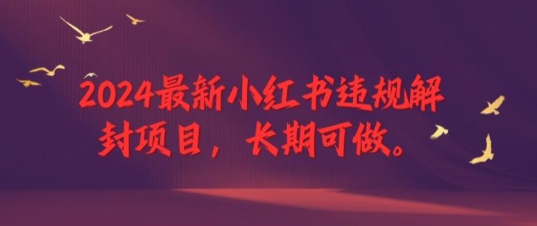 2024最新小红书违规解封项目，长期可做，一个可以做到退休的项目【揭秘】-创博项目库