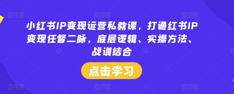 小红书IP变现运营私教课，打通红书IP变现任督二脉，底层逻辑、实操方法、战训结合-创博项目库