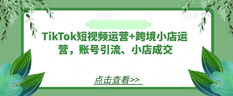 TikTok短视频运营+跨境小店运营，账号引流、小店成交-创博项目库