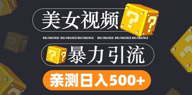 搬运tk美女视频全网分发，日引s粉300+，轻松变现，不限流量不封号【揭秘】-创博项目库