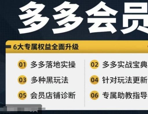 拼多多会员，拼多多实战宝典+实战落地实操，从新手到高阶内容全面覆盖-创博项目库