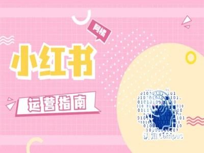 小红书运营指南，没有套路，全是经验-创博项目库