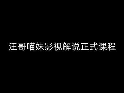 汪哥影视解说正式课程：剪映/PR教学/视解说剪辑5大黄金法则/全流程剪辑7把利器等等-创博项目库