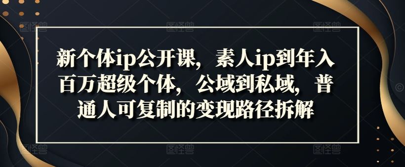 新个体ip公开课，素人ip到年入百万超级个体，公域到私域，普通人可复制的变现路径拆解-创博项目库