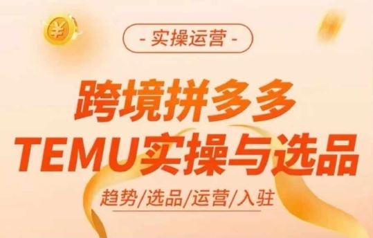 跨境拼多多TEMU实操与选品，多多temu跨境选品运营实操-创博项目库