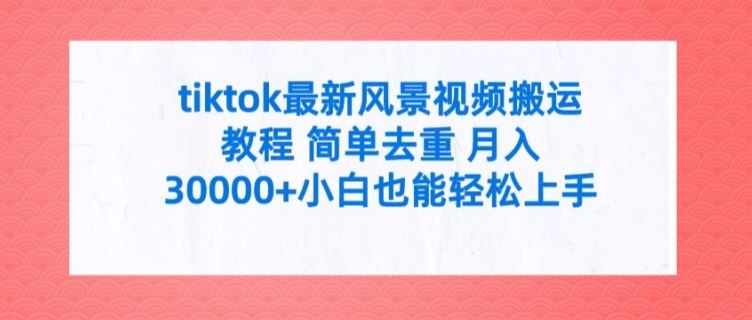 tiktok最新风景视频搬运教程 简单去重 月入3W+小白也能轻松上手【揭秘】-创博项目库