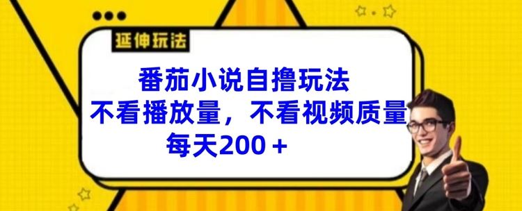 番茄小说自撸玩法，不看播放量，不看视频质量，每天200+【揭秘】-创博项目库