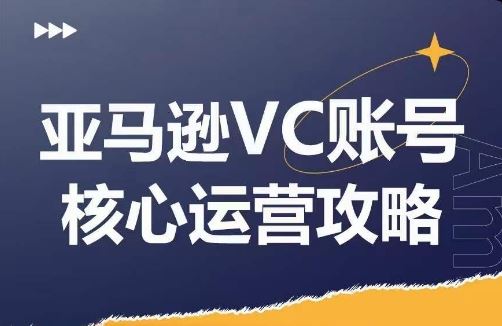 亚马逊VC账号核心玩法解析，实战经验拆解产品模块运营技巧，提升店铺GMV，有效提升运营利润-创博项目库