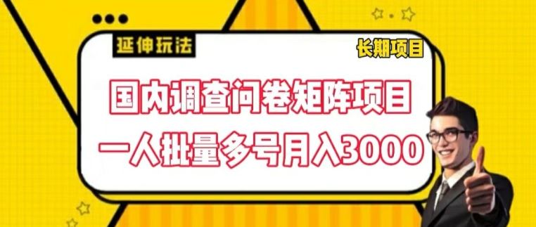 国内调查问卷矩阵项目，一人批量多号月入3000【揭秘】-创博项目库